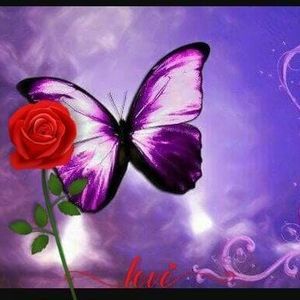 Meet your Posher, Ernestina